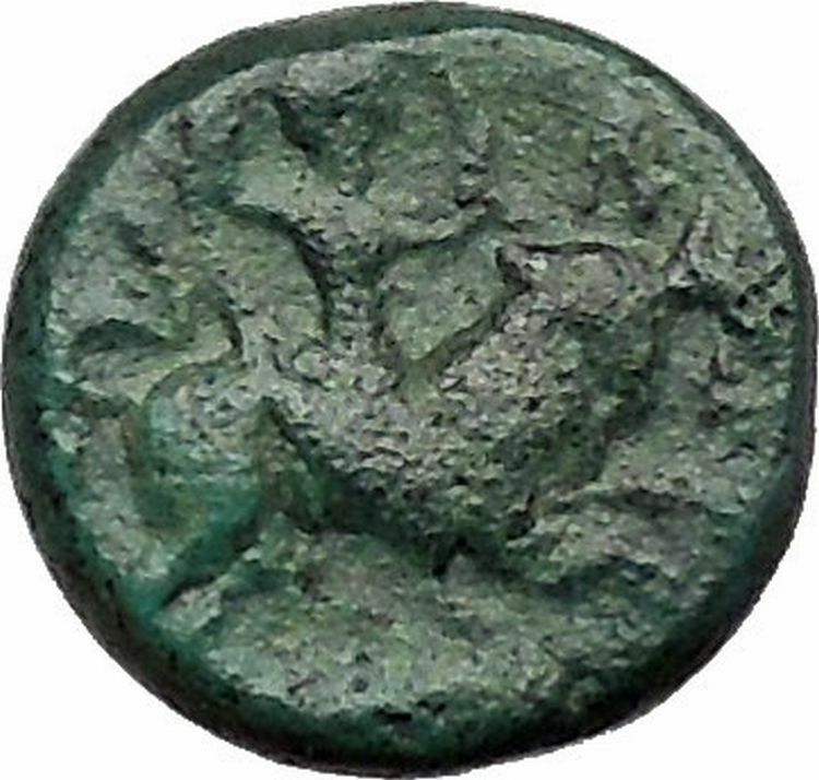 Read more about the article Greek city of Amphipolis Macedonia Artemis Goddess on Bull Ancient Coin i40951