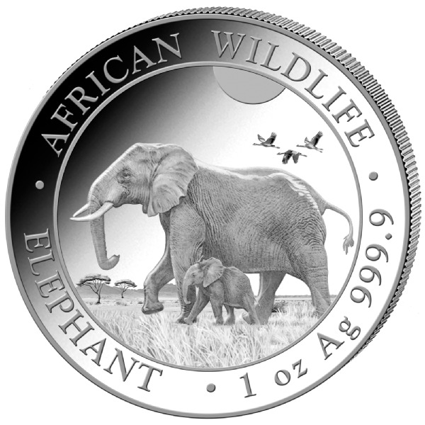 Read more about the article Somalia Elephant 2022 1 OZ Ounce .9999 Silver African Wildlife series