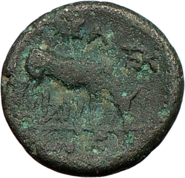 Read more about the article PELLA Macedonia 168BC Ancient  Greek Coin ATHENA Cult Wisdom BULL  i25416