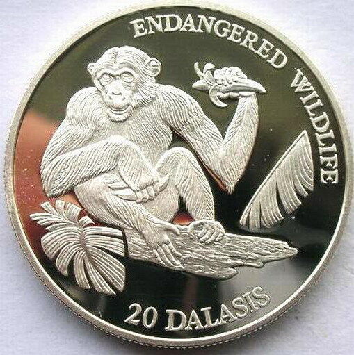 Read more about the article Gambia 1994 Chimpanzee 20 Dalasi Silver Coin Proof