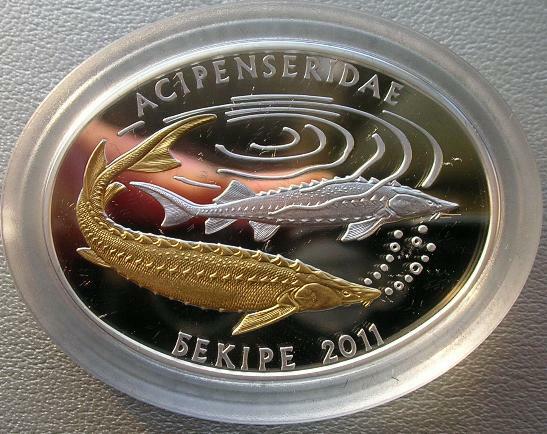 Read more about the article Kazakhstan 2011 Acipenseridae 500 Tenge Gold Plated Silver Coin Proof