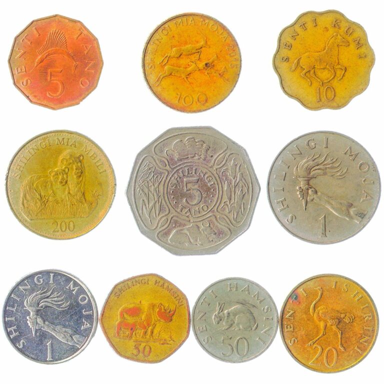 Read more about the article 10 DIFFERENT COINS FROM AFRICAN COUNTRY – TANZANIA. OLD CURRENCY COLLECTION