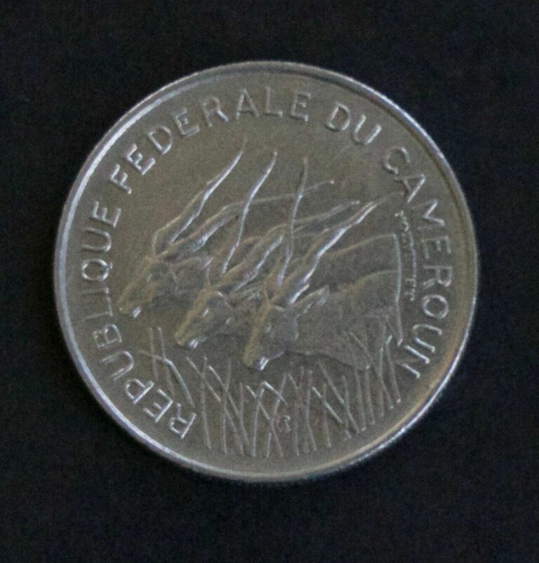 Read more about the article Africa Central- Coin 100 Francs 1971
