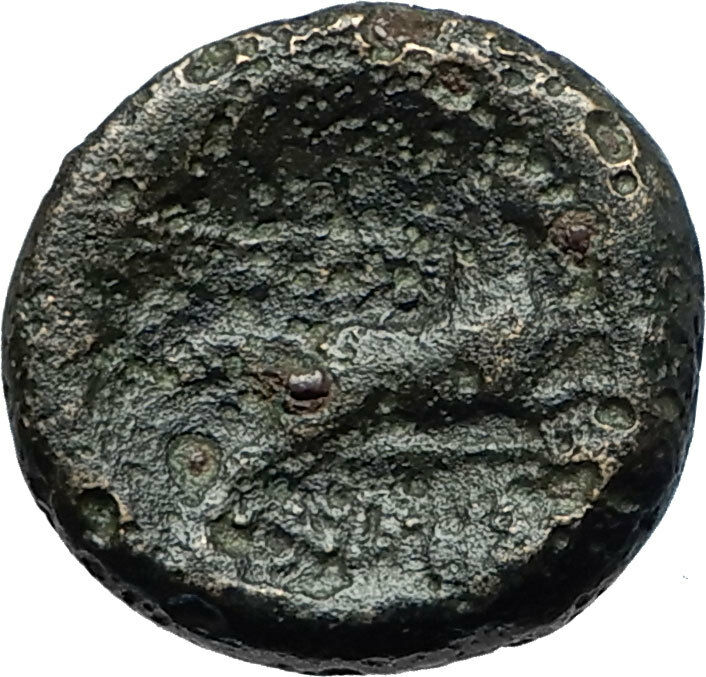 Read more about the article Thessalonica in Macedonia 148BC Authentic Ancient Greek Coin ATHENA HORSE i68354