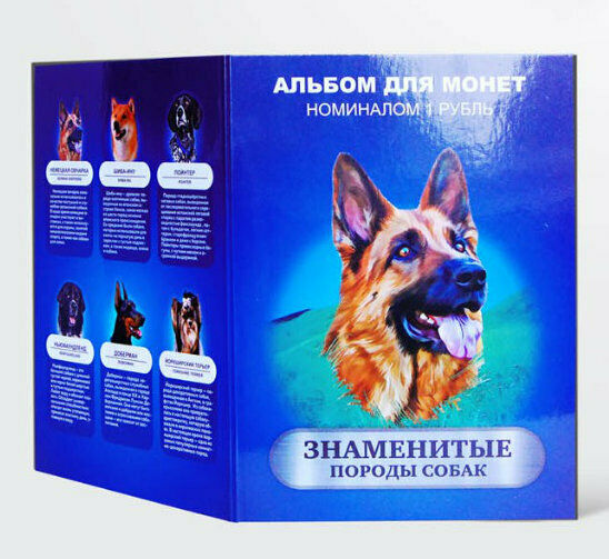 Read more about the article Album + set of 12 coins 1 ruble Dog breed series UNC