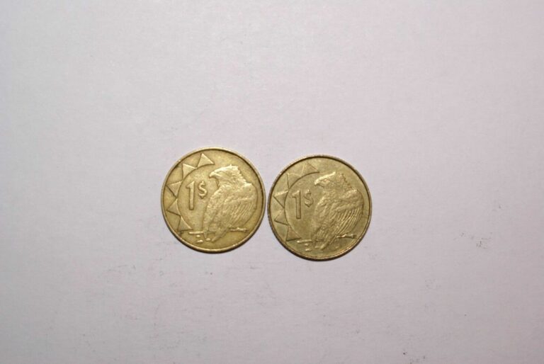 Read more about the article 2 – 1 DOLLAR COINS from NAMIBIA (BOTH DATING 1996/2 TYPES/NORMAL and FINE EDGE)