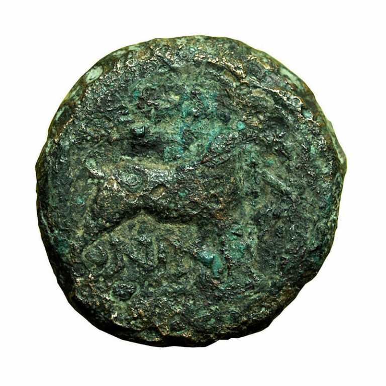 Read more about the article 02899 Ancient Greek Coin Thessalonica Macedonia AE18mm Dionysos / Goat