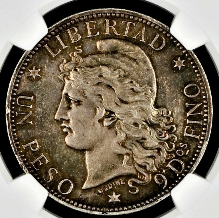 Read more about the article 1882 Argentina 1 Peso Coin – NGC AU 55