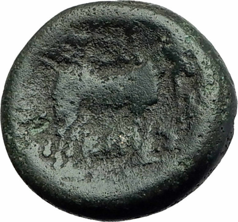 Read more about the article THESSALONICA Macedonia 148BC Authentic Ancient Greek Coin DIONYSUS and GOAT i64349