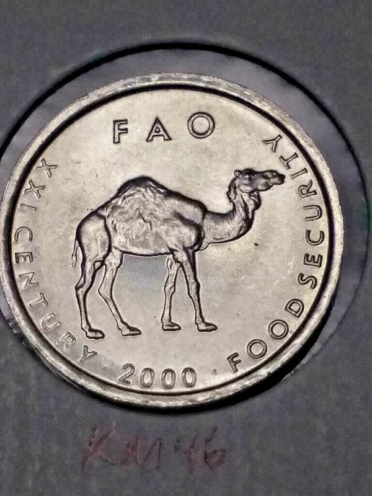 Read more about the article 2000-FAO (Food Security) Somali Republic 10 Shillings Camel Free Shipping