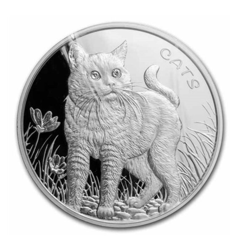 Read more about the article 2021 Fiji Cat 1 oz .999 silver coin Sealed Mintage of 12000