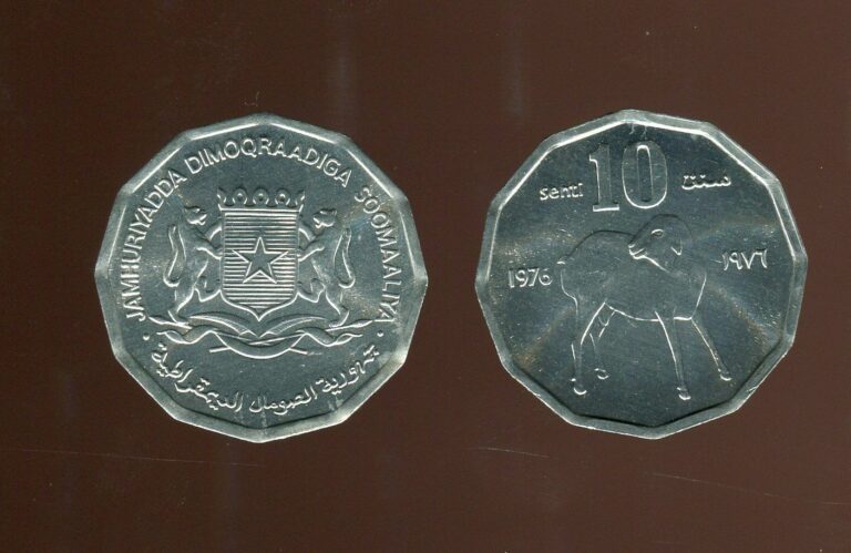 Read more about the article 1976 Somalia 10 Senti | Uncirculated | KM 25 | FAO Issue | Free Shipping | OC48