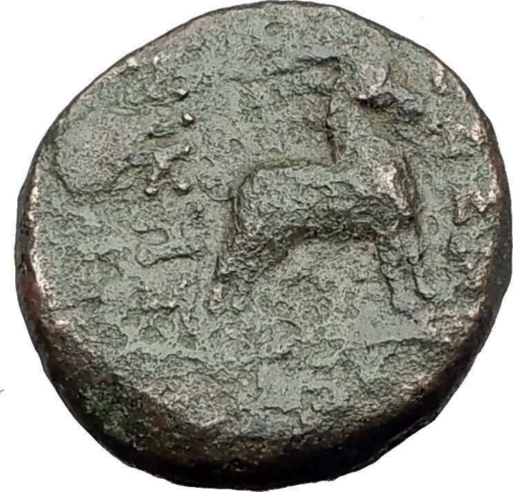 Read more about the article THESSALONICA Macedonia 100BC Authentic Ancient Greek Coin DIONYSUS and GOAT i63177