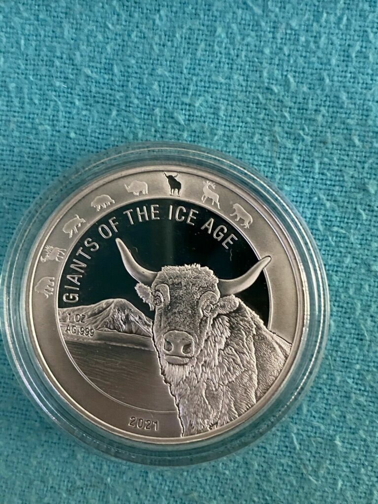 Read more about the article 2021 Republic of Ghana 1oz Silver Aurochs BU In Capsule Mintage 15 000 ONLY!