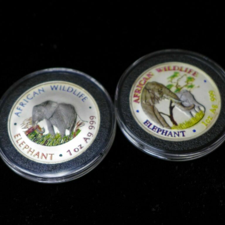 Read more about the article Lot of (2) 2000 and 2001 Zambia African Elephant 1oz Silver Colorized 5000 Kwacha