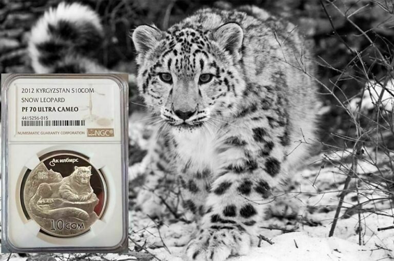 Read more about the article Kyrgyzstan 2012 10 Som SNOW LEOPARD Proof Silver Coin NGC PF70!