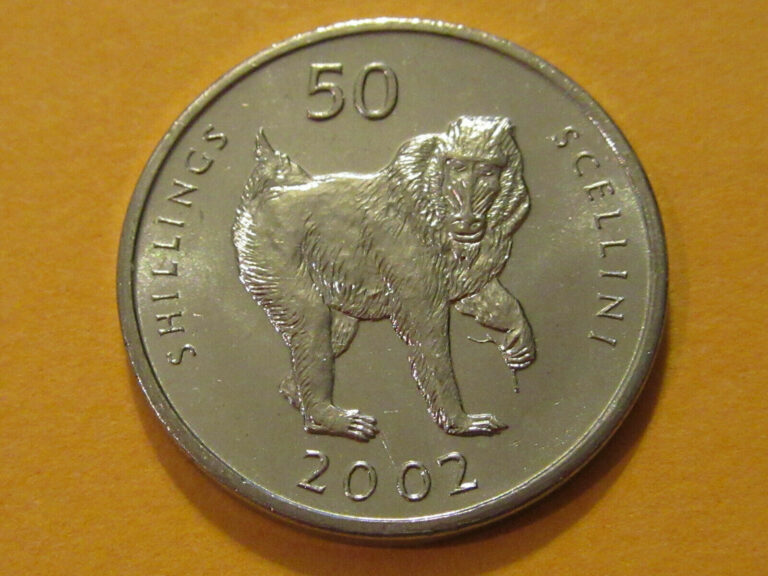 Read more about the article 2002 Somalia  MONKEY coin  Animal   nice coin AFRICA COIN