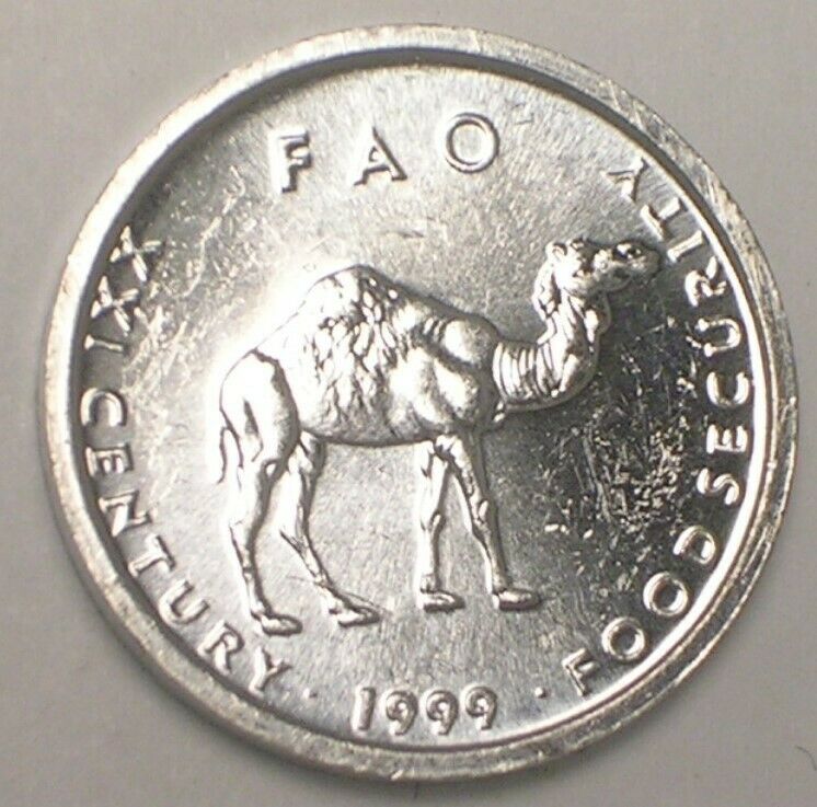 Read more about the article 1999 Somalia Somali 10 Shillings Camel FAO Coin XF