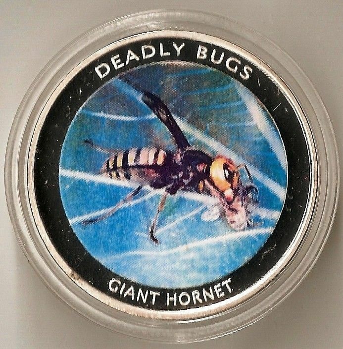 Read more about the article ZAMBIA 1000 KWACHA 2010 ANIMAL GIANT HORNET –  COLOURED PROOF RARE! COIN