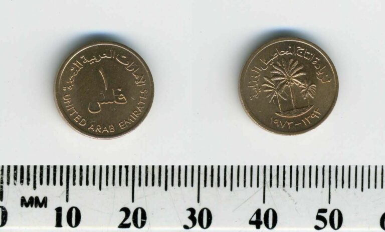 Read more about the article United Arab Emirates 1973 (1393) – 1 Fils Bronze Coin – Date palms above dates