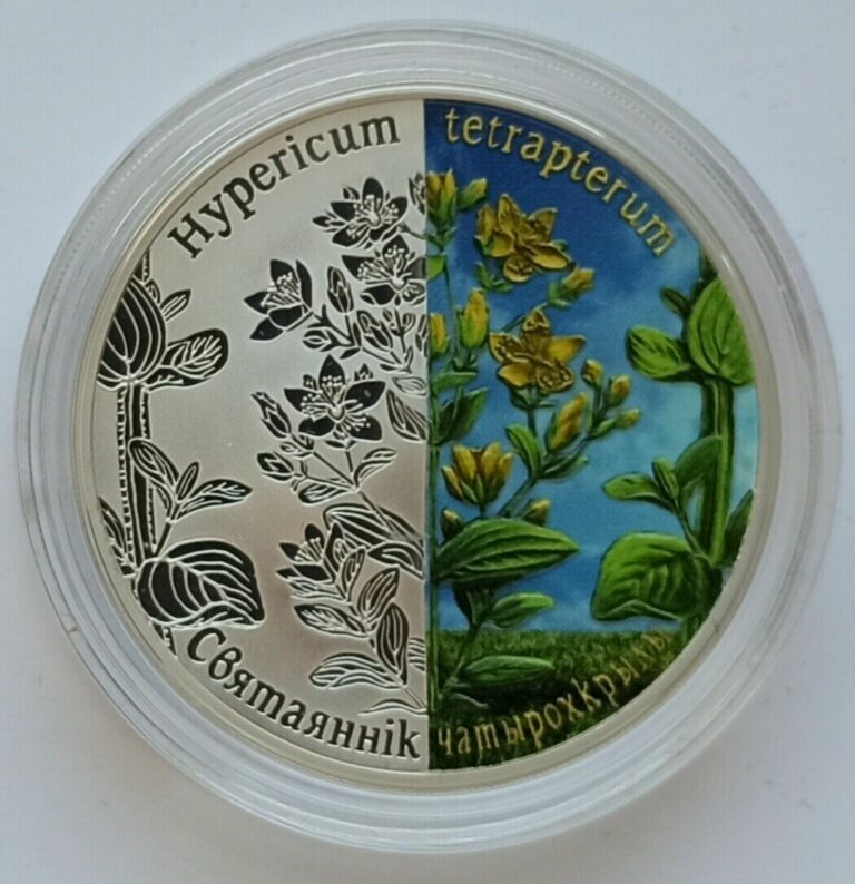 Read more about the article Exclusive! 20 rubles 2013 Hipericum Square-stemmed St.John’s Wort Silver Coin