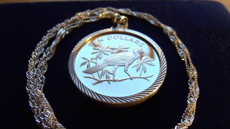 Read more about the article Exotic Silver Belize Bird Proof Coin Bezel Pendant and 24″ Italy Silver chain 45mm