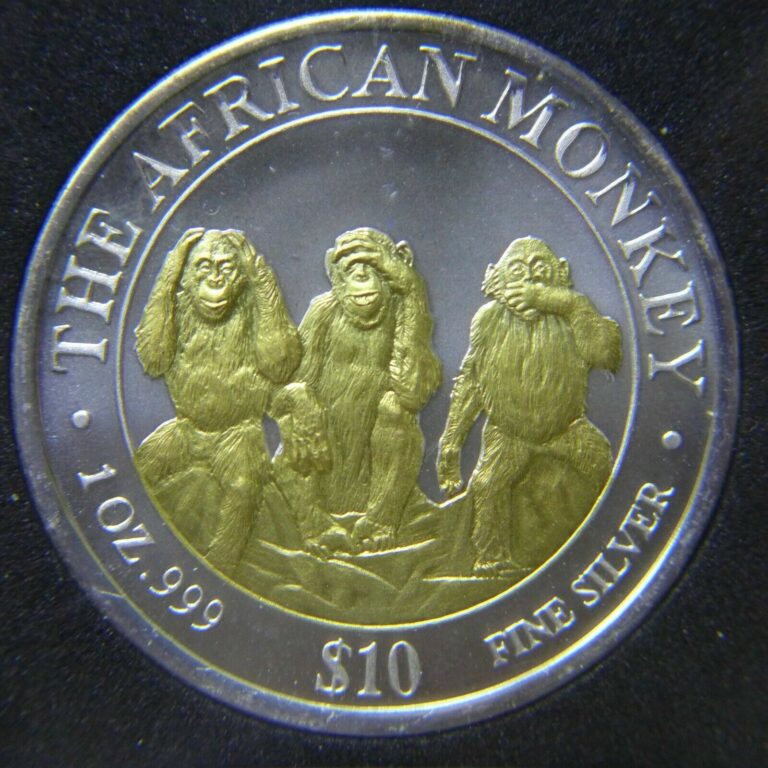 Read more about the article Somalia 2001 $10 Dollars Gilded African Monkey 1 oz .999 Silver Coin in Capsule