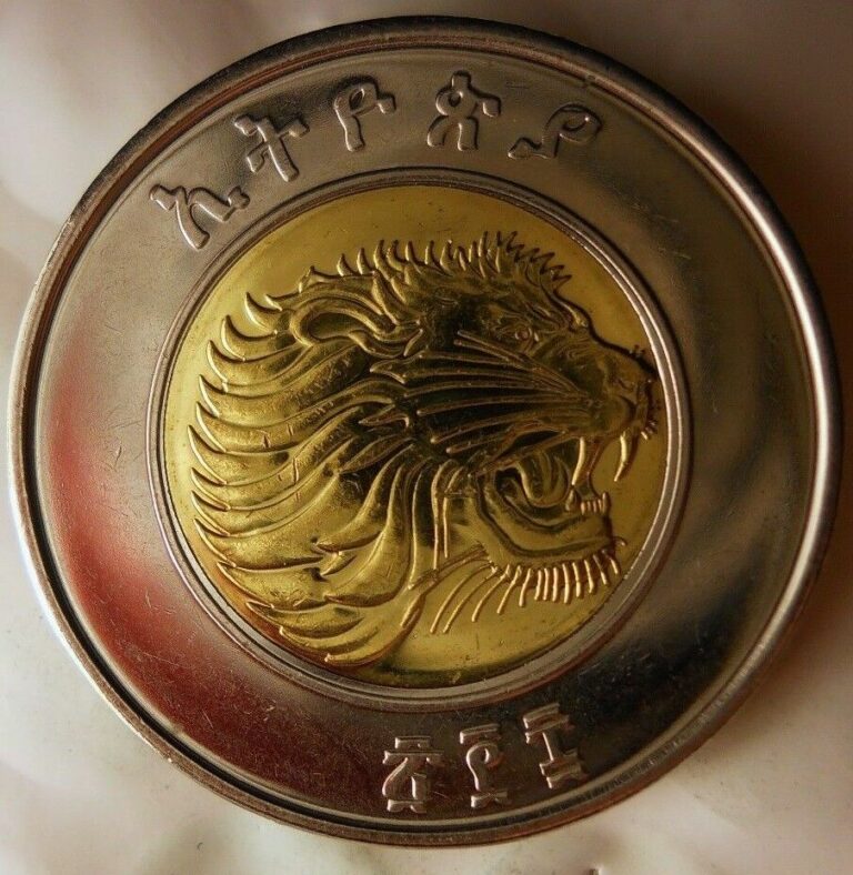 Read more about the article 2002 ETHIOPIA BIRR – AU – AFRICAN LION – Great Coin – FREE SHIPPING – BIN #GGG