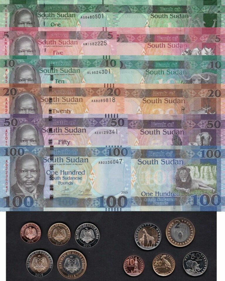 Read more about the article South Sudan Notes and Coins Set: 10 Piastres-2Pounds  1 to 100 Pounds (2015) UNC