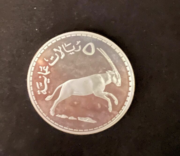 Read more about the article 1976 Oman 5 Omani Rials Arabian White Onyx Silver Proof Coin