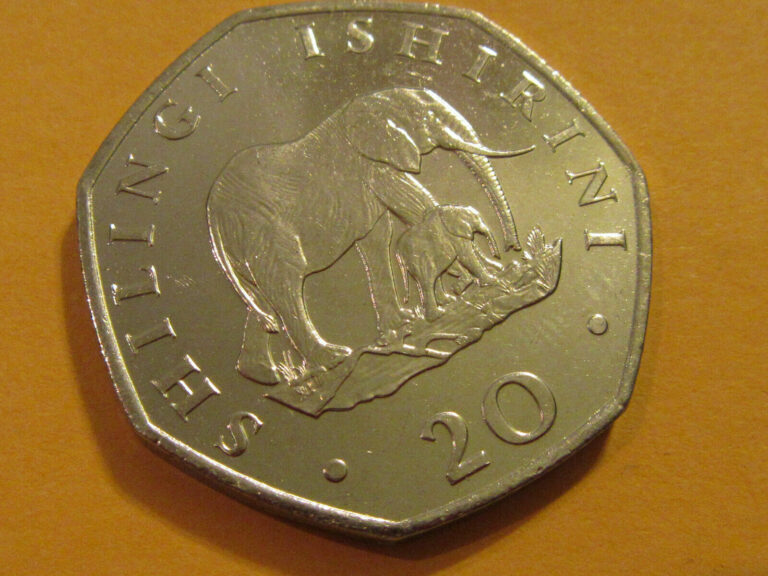 Read more about the article 1992 Tanzania coin  shilling Elephant w Baby  unc Beauty  animal coin  Sweet!!