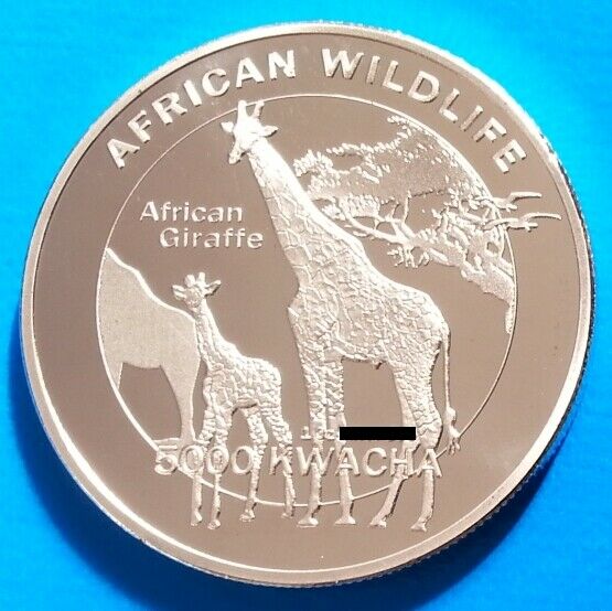 Read more about the article Zambia 5000 kwacha 2016 UNC Giraffe Silver Plated Coin