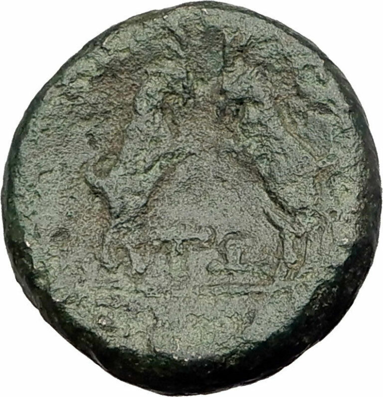 Read more about the article AMPHIPOLIS in MACEDONIA 148BC RARE R1 Ancient Greek Coin ARTEMIS and GOATS i62444