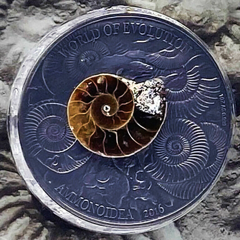 Read more about the article BEAUTIFUL 2016 1oz .999 Silver  Burkina Faso Ammonite Fossil Coin #329 of 500!!