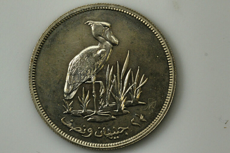 Read more about the article 1976 Oman 2.5 Pounds Shoebill Stork 925 Silver Coin Grades Mint State (NUM6398)