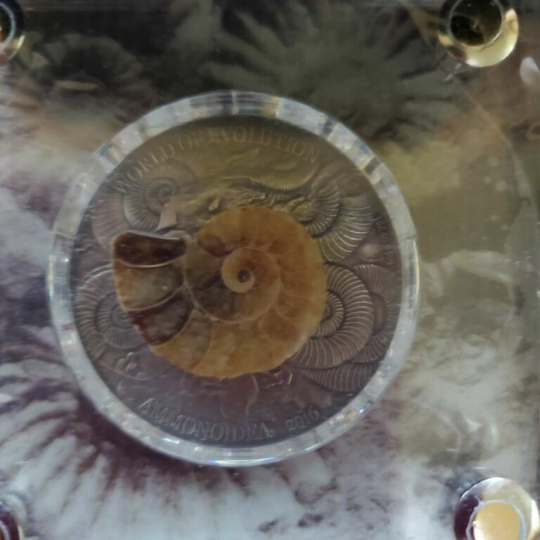 Read more about the article One ounce Silver Burkina Faso 2016 Ammonoidea World Of Evolution. Actual Fossil