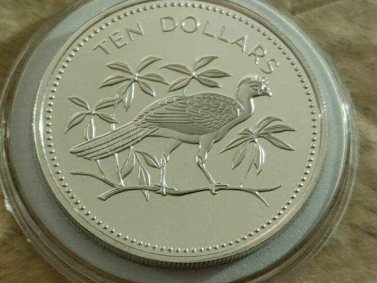 Read more about the article Large Silver PROOF 1975 BELIZE STERLING SILVER 10 DOLLAR CURRASOW coin w HOLDER