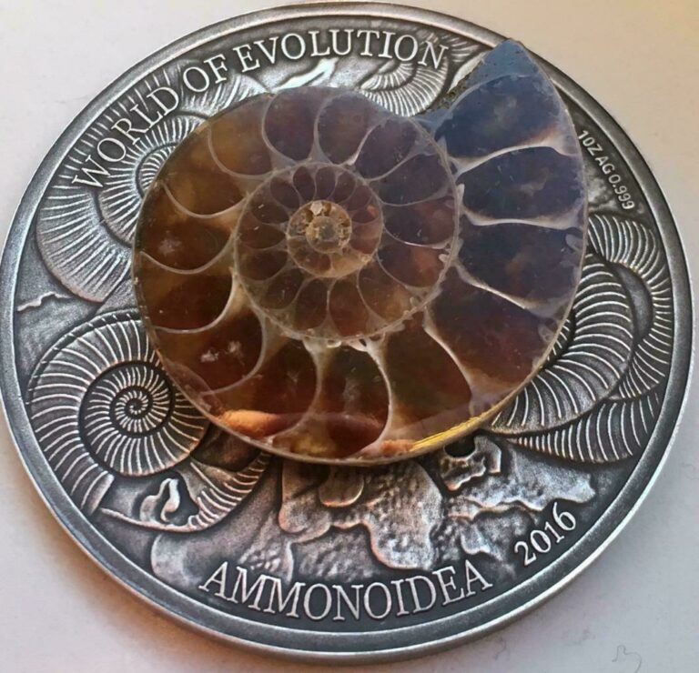 Read more about the article Burkina Faso 2016 1000 Francs World of Evolution-Ammonite 1Oz Silver Coin