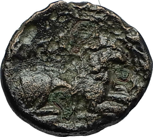 Read more about the article KASSANDER 316BC Pella Macedonia HERCULES LION Original Ancient Greek Coin i66700