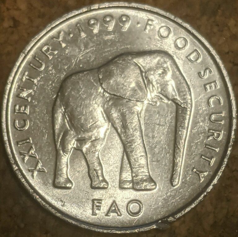 Read more about the article Somalia 5 Shilling 1999 Coin