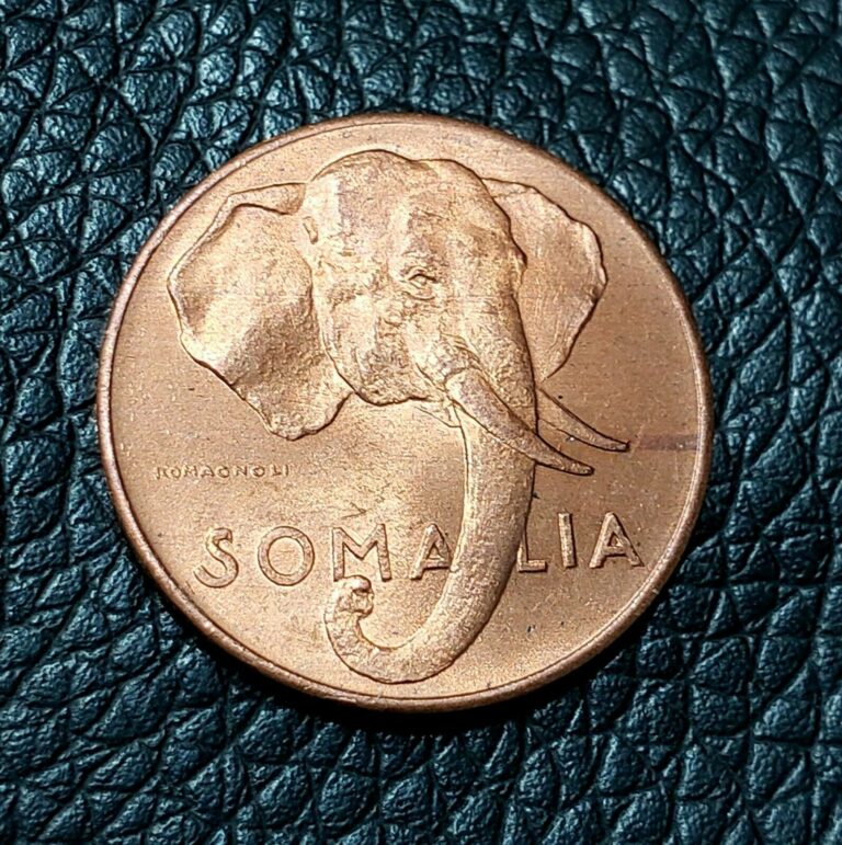 Read more about the article 1950 SOMALIA 1 CENTESIMO COIN