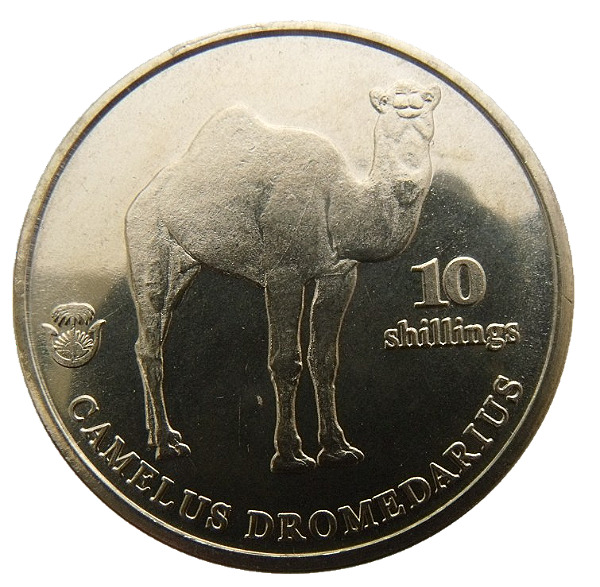 Read more about the article BIAFRA – NIGERIA 10 SHILLINGS 2021 CAMEL 32mm UNC COIN