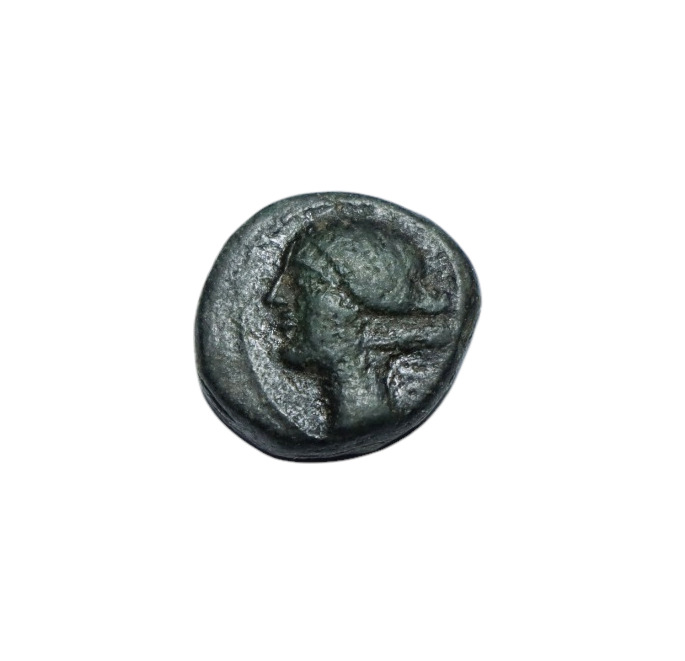 Read more about the article ancient coin bronze Macedonia