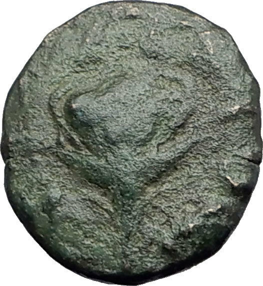 Read more about the article TRAGILOS in MACEDONIA 400BC Hermes Rose Authentic Ancient Greek Coin i63735