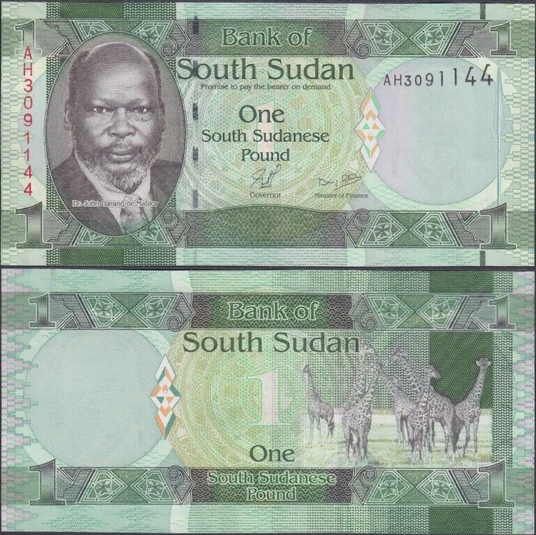 Read more about the article SOUTH SUD AN – 1 pound ND (2011) KM# 4 Africa banknote – Edelweiss Coins