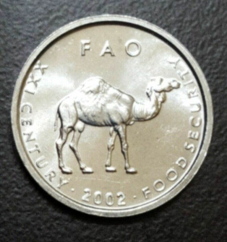 Read more about the article 2002 SOMALIA 10 SHILLINGS UNC ALUMINUM COIN FAO CAMEL ANIMAL THEME KM 46