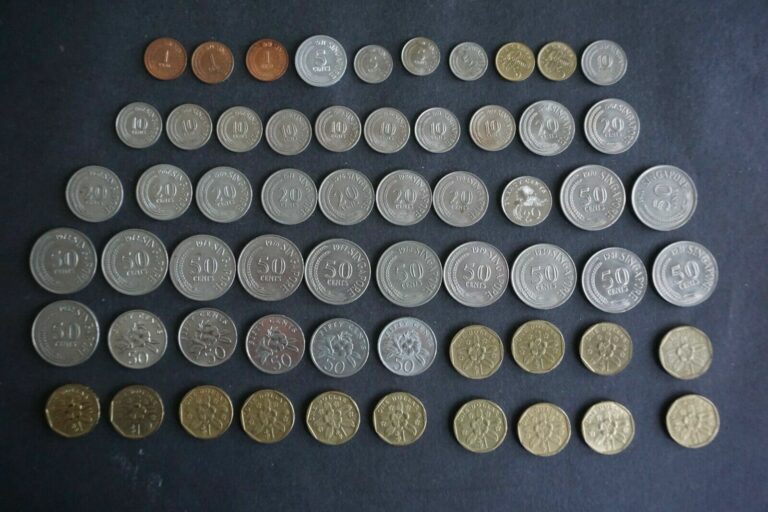 Read more about the article Singapore Lot (60) Coins 1 Cent 5c 10c 20c 50c 1 Dollar; 1967-1997