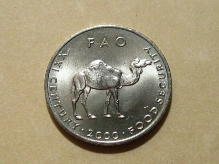 Read more about the article 2000 Somalia CAMEL 10 S coin  Animal   nice nickel clad coins of Africa