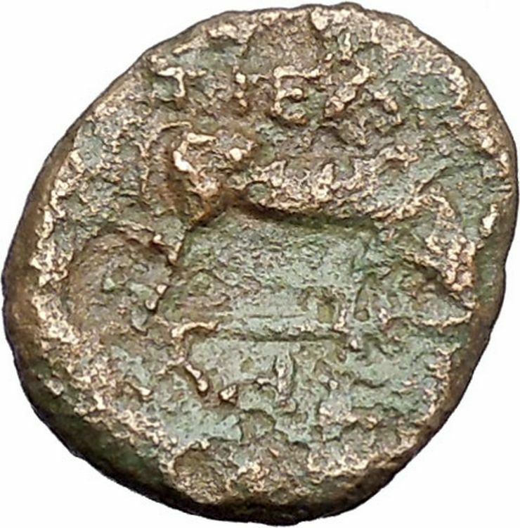 Read more about the article Pella in Macedonia 158BC Ancient Greek Coin BULL Athena  War Magic i47569