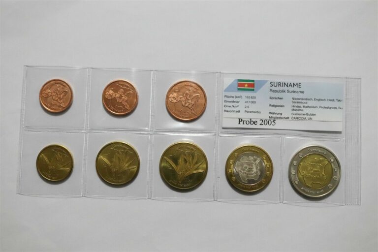 Read more about the article SURINAM 2005 FANTASY EURO PATTERN COIN SET B36 #163